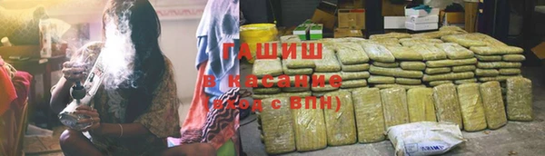 шишки Белокуриха