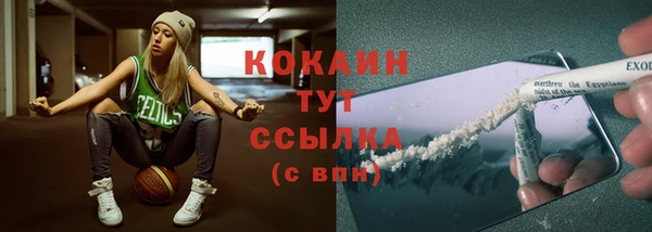 шишки Белокуриха