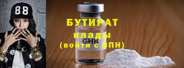 шишки Белокуриха