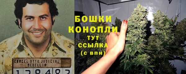 шишки Ступино