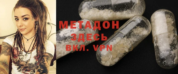 шишки Белокуриха