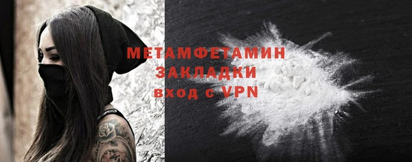 шишки Белокуриха