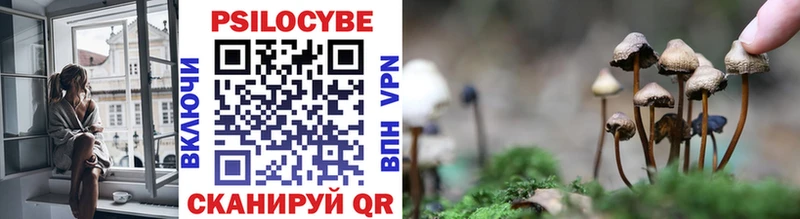 Псилоцибиновые грибы ЛСД Реутов
